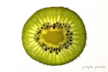 Kiwi Miniml