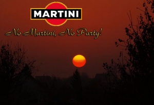 NO MARTINI, NO PARTY 2