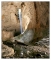 Aragysza-barlang (CettileRdesei)